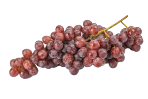 cacho de uvas vermelhas maduras e suculentas, isoladas no fundo branco png