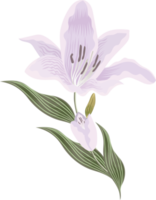 flowers and leaf png