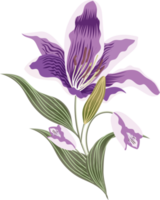 flowers and leaf png