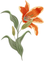 flowers and leaf png