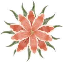 flowers and leaf png