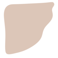 forma de bolha orgânica png