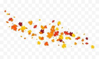 hojas de otoño cayendo aisladas sobre fondo blanco vector