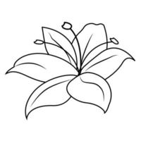 Lily silhouette, logo or tattoo, decorative flower isolated on white background. Floral illustration, nature. Vector