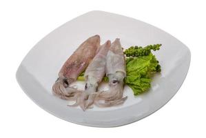 Raw calamari on white photo