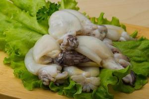 Raw cuttlefish on wooden board photo