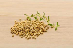Coriander seeds on wooden background photo