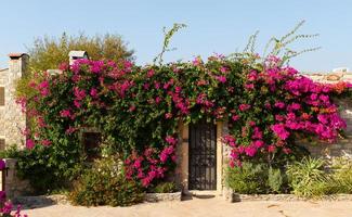 House in Old Datca, Mugla, Turkey photo