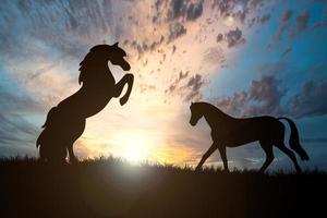 la silueta de un caballo libre en el prado hay una hermosa luz. foto