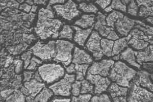 Soil cracked due to drought, no seasonal rain due to global warming. photo