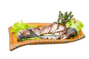 Mackerels on the plate and white background photo