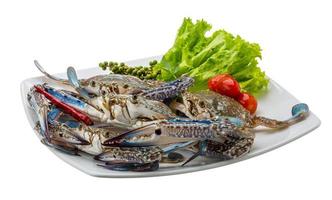 Raw blue crab on the plate and white background photo