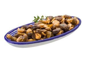 Broad beans in a bowl on white background photo