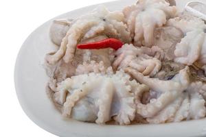 Raw octopus meal photo