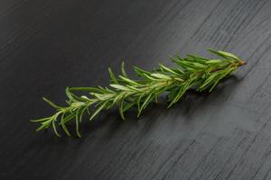 Rosemary plant on wooden background photo