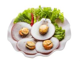 Grilled scallops on the plate and white background photo