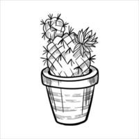 Cactus in flowerpots. Outline hand drawn sketch vector