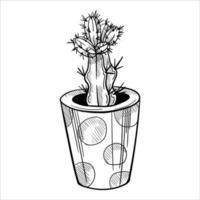 Cactus in flowerpots. Outline hand drawn sketch vector