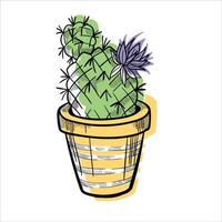 Cactus in flowerpots colorful flat illustration isolated o white vector