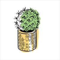 Cactus in flowerpots colorful flat illustration isolated o white vector
