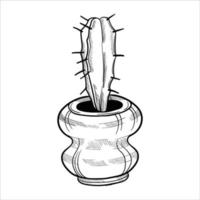 Cactus in flowerpots. Outline hand drawn sketch vector