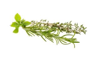 Fresh aroma herbs on white background photo