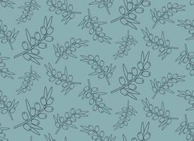Seamless pattern with sea buckthorn. Texture with berries in outline style. vector