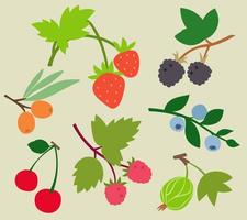 Collection of berries. Natural food in flat style. vector