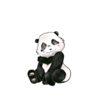 süßer schöner Pandabär sitzt mit einem Lächeln im Gesicht, isoliertes Bild. png