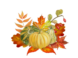 illustration. Autumn composition pumpkins and leaves, wild rose fruit in autumn and fall color.  Digital hand drawn and painted, isolated image. png