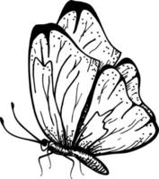 Butterfly with open wings top view, the symmetrical drawing graphics sketch. Freehand linear black ink hand drawn logo in art retro scribble design style pen on paper. Engraving, ink, line art, vector