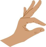 hand shows small fingers Gesture finger hand sign vector