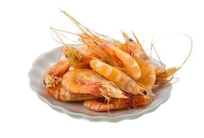 Big tiger shrimps photo