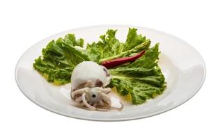 Boiled cuttlefish on the plate and white background photo