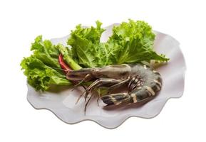 Tiger prawn Tiger prawn on the plate and white background photo