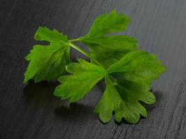 Celery leaves on wooden background photo