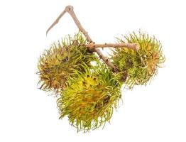 Rambutan on white background photo