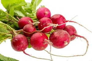 Fresh radish on white background photo