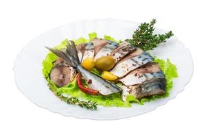 Mackerels on the plate and white background photo