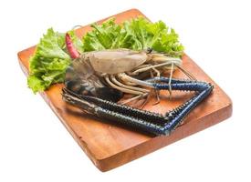 Freshwater prawn on wooden plate and white background photo