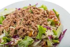 Tuna salad on the plate photo