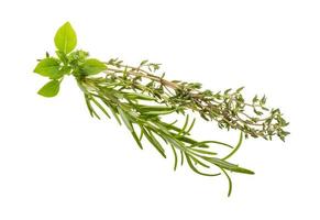 Fresh aroma herbs on white background photo