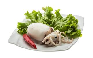 Boiled cuttlefish on the plate and white background photo