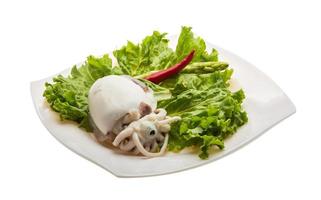 Boiled cuttlefish on the plate and white background photo