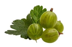 Gooseberries on white background photo