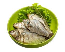 Crucian fish in a bowl on white background photo