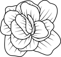 blomma handritad skiss linjekonst illustration png