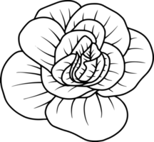 flor dibujado a mano boceto línea arte ilustración png