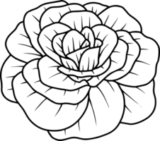 dessin au trait de croquis de fleur rose dessiné à la main png