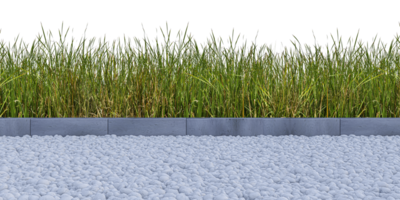 Mockup image of 3d rendering green color wild grasses field png